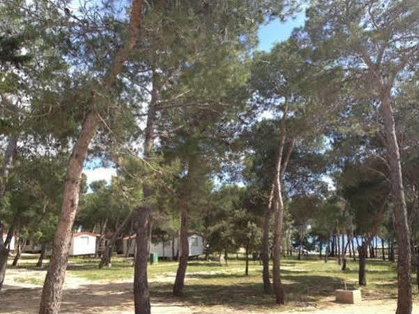 מלון פובליאנה Camp Porat מראה חיצוני תמונה
