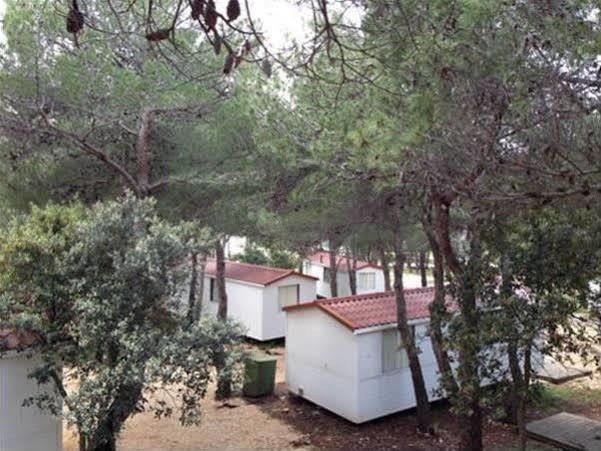 מלון פובליאנה Camp Porat מראה חיצוני תמונה